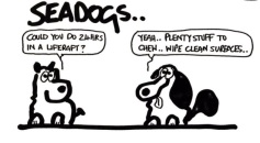 005 Seadogs